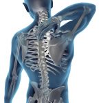 man_spine_jpg